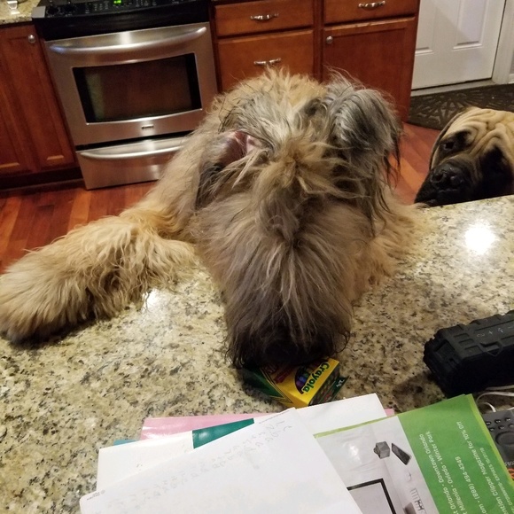 Meet your Posher, Robert - Picture 1 of 1